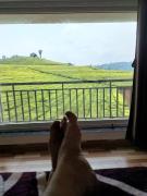 Top Ooty