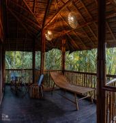 Top Wayanad