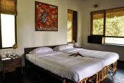 Top Wayanad