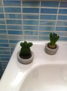 Top Santeramo in Colle