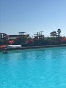 Top Algarrobo Top Algarrobo