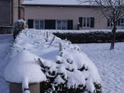 Gîte cozy au cœur des Vosges : terrasse, jardin, proche Gérardmer, animaux bienvenus - FR-1-589-76