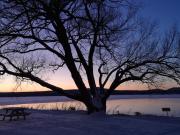 Top Magog-Orford