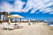 Top Paracas