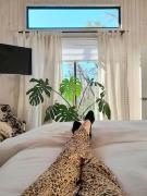 Top Malalcahuello Top Malalcahuello