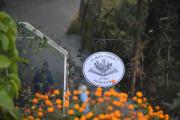 Top Kurseong