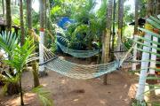 Top Alibaug