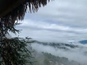 Riz dOr Ermitage - Hoang Su Phi