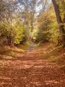 Top Mesnil-Saint-Père