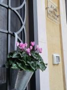 Il Cortile della Patrona