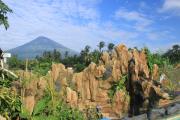 Top Amed