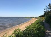 Sommerhus ved Vesterhavet