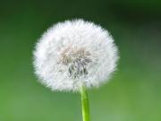 Appartement 3 pièces, confort et jardin, parking inclus - FR-1-580-23