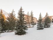 Confortable studio 2 pers. à Montgenèvre, balcon ouest, bien équipé, parking, options WiFi et linge - FR-1-330D-22