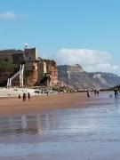 Top Sidmouth