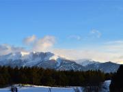 Studio Cabine Cosy Proche des Pistes - Sud-Ouest, Équipé pour 3 Pers., Animaux Acceptés - FR-1-592-25