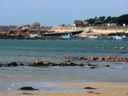 Maison 4 pers avec jardin, wifi et parking 800m de la plage - Pleumeur-Bodou - FR-1-542-39