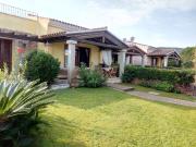 Top Tanaunella Top Tanaunella