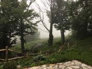 Top Veliki Alan