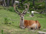 Top Font Romeu Odeillo Via