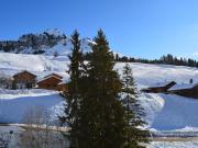 Top Le Grand-Bornand