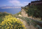 Top Sorrento