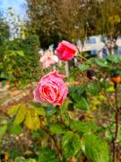 Top Saint-Sylvestre-sur-Lot