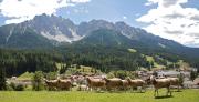 Top San Candido