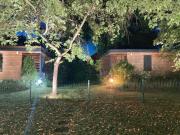 Top Balatonlelle Top Balatonlelle