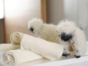 Top Zermatt Top Zermatt