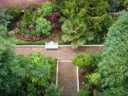 Top Morelia Top Morelia