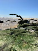 Top Tugela Mouth