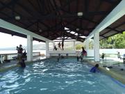 Top Dalaguete