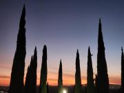 Top Valle de Guadalupe