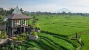 Top Ubud