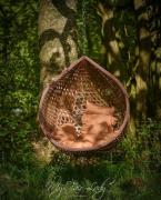 Top Llanrhaeadr-ym-Mochnant