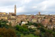 Top Siena