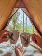 Refugio Explora Verde