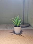 Top Almada Top Almada