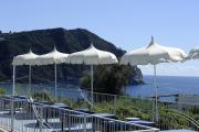 Top Ischia