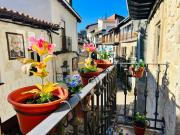 Apartamentos Raíces