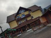 Edelweis Floare de Colt