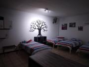 FlipFlops and TreeTops