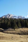 Top Cortina dʼAmpezzo