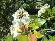 Top Khao Lak