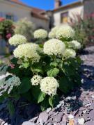 Top Rouvres-la-Chétive