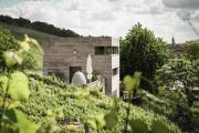 Gästehaus im Weingut am Stein