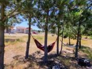 Top Algarrobo Top Algarrobo