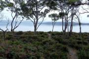 Top Great Bay