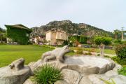 Top Dalyan
